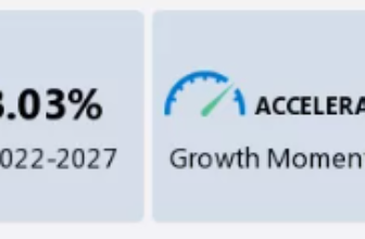 Digital Image Body Statistics 2024 and Information