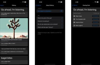Journaling app Palmsy presents faux likes from actual buddies
