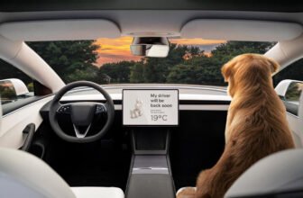 Tesla will reportedly take clients on a check drive to point out off its Full Self-Driving tech