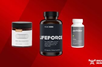 Finest NMN Complement of 2024, In response to a Vitamin Coach