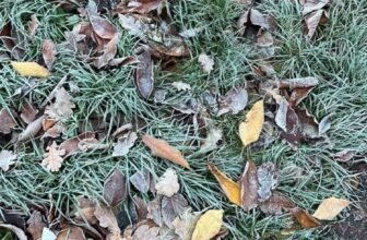 The way to Beat the Winter Blues… — Estée Lalonde