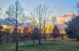 The Little Issues E-newsletter #406 – Life, laughter, and plenty of nice meals!