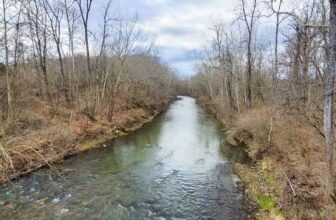 The Little Issues Publication #407 – Life, laughter, and plenty of nice meals!