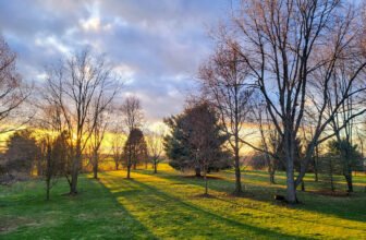 The Little Issues Publication #408 – Life, laughter, and plenty of nice meals!