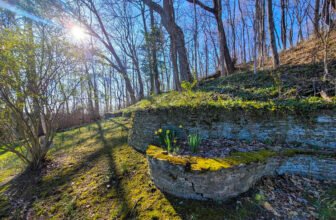 The Little Issues Publication #409 – Life, laughter, and plenty of nice meals!