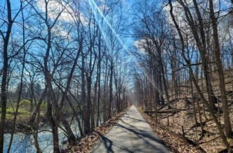 The Little Issues E-newsletter #410 – Life, laughter, and plenty of nice meals!