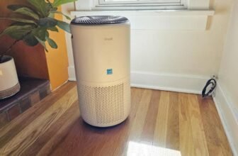 Our favourite air air purifier is $30 off proper now in a restricted time deal