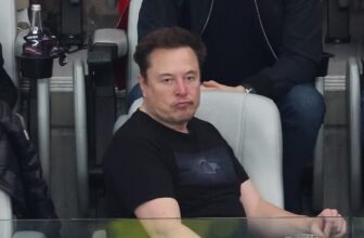 Courtroom Says Elon Musk’s Lawsuit Towards Anti-Hate Group Is an Assault on Free Speech