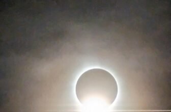 The Little Issues E-newsletter #412 – Life, laughter, and many nice meals!